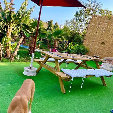 Bed and Breakfast Surf & Salsa Ocean House à Tamraght Extérieur photo