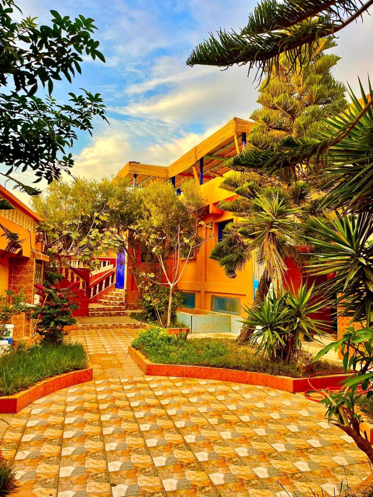 Bed and Breakfast Surf & Salsa Ocean House à Tamraght Extérieur photo