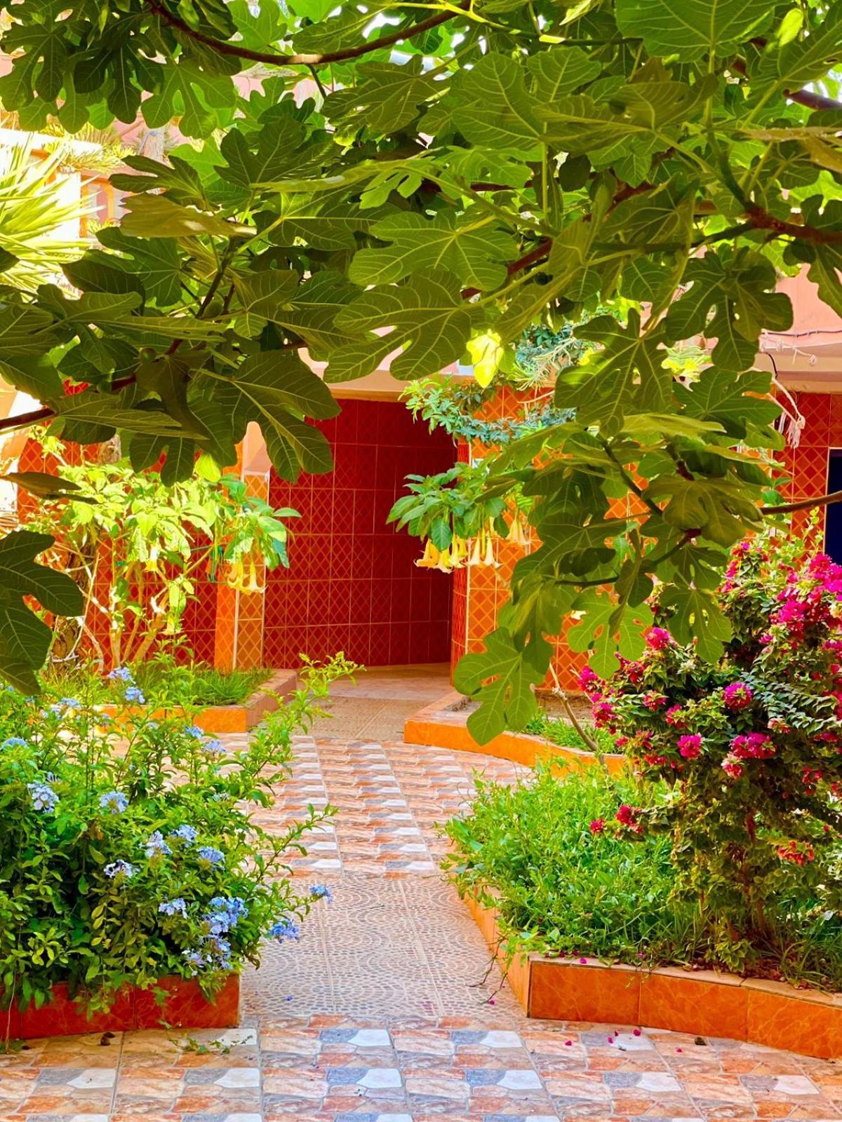 Bed and Breakfast Surf & Salsa Ocean House à Tamraght Extérieur photo