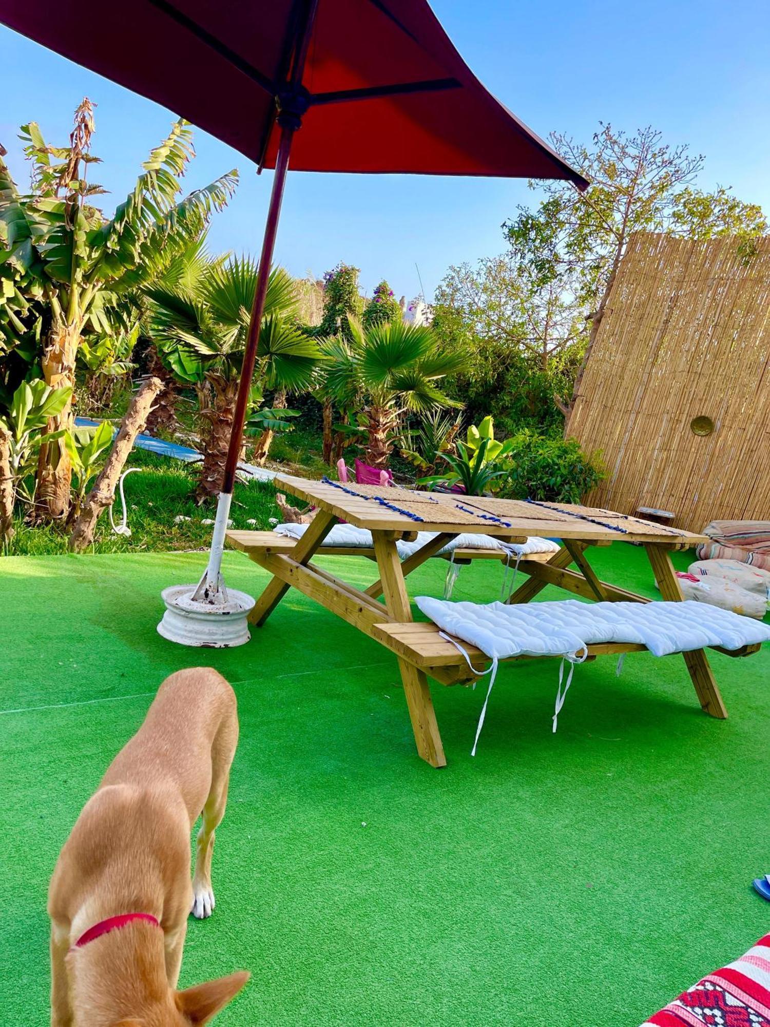 Bed and Breakfast Surf & Salsa Ocean House à Tamraght Extérieur photo